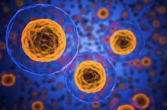 Як відбувається процес схуднення